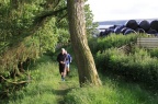 IMG 8299