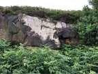 IMG 0481
